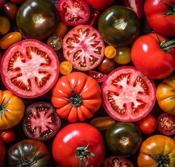 A collage of various tomatoes
